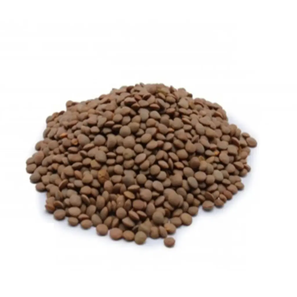 Brown Lentils - 500 gm